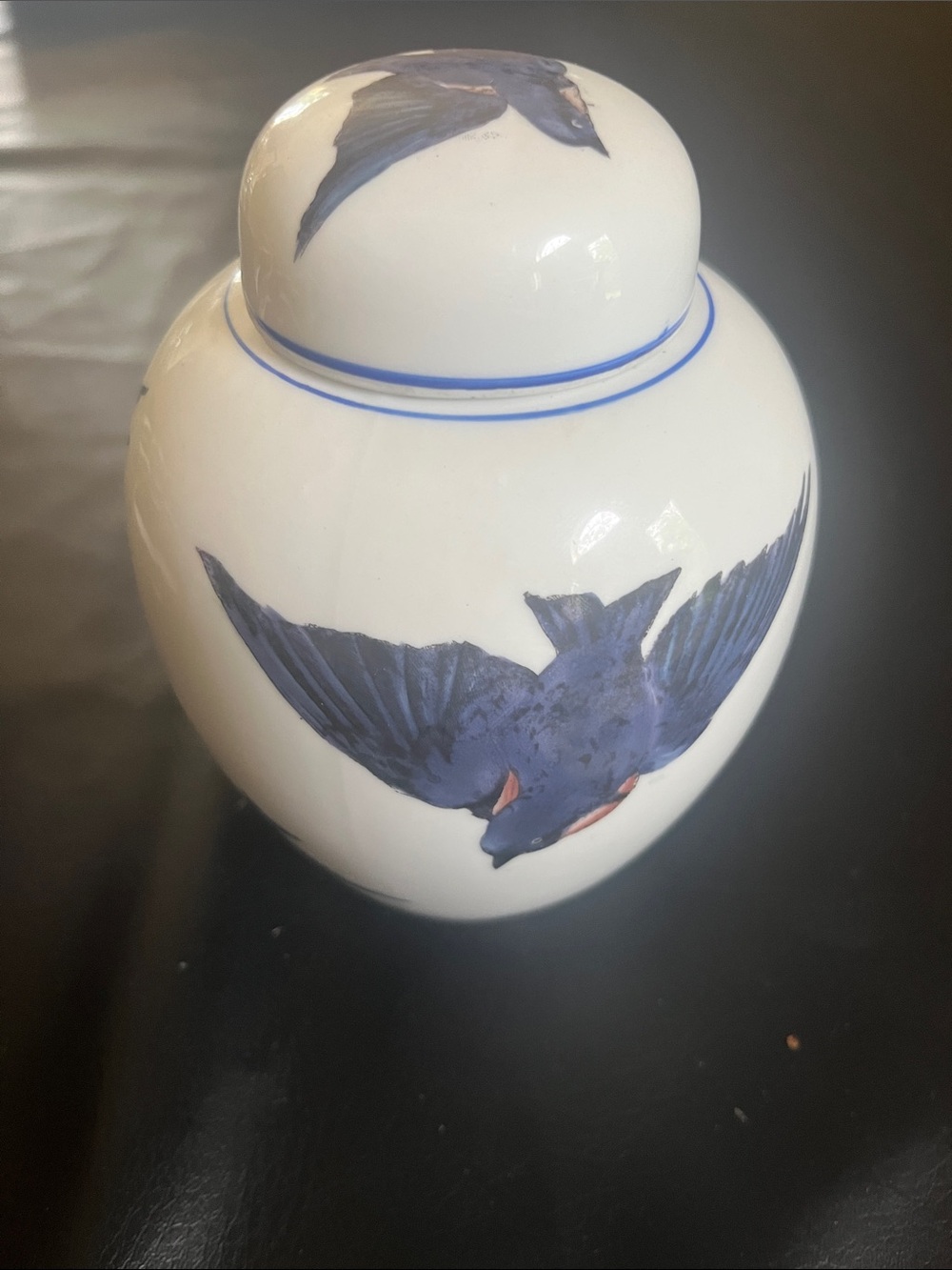 White Porcelain Jar with Hand-Painted Blue birds